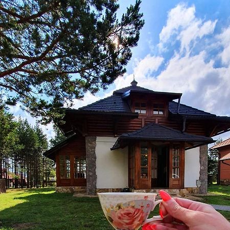 Vila Panic Zlatibor Exterior foto